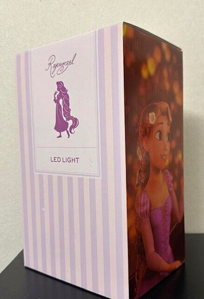 Disney LED Light Decoration