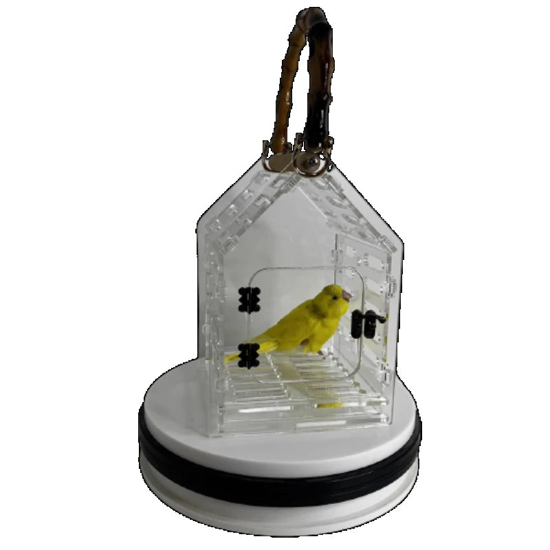 Portable Transparent Bird Carrier