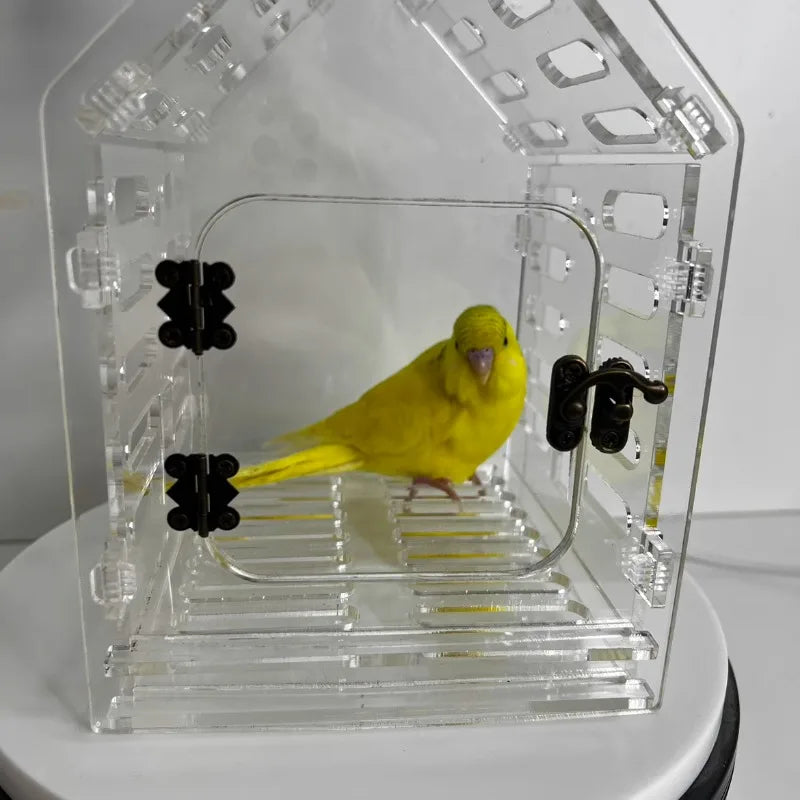 Portable Transparent Bird Carrier