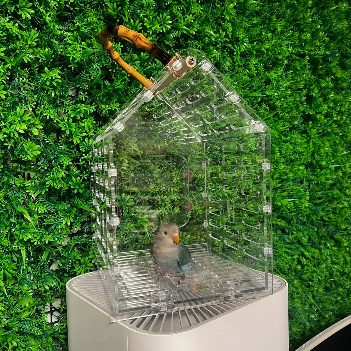 Portable Transparent Bird Carrier