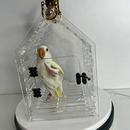 Portable Transparent Bird Carrier