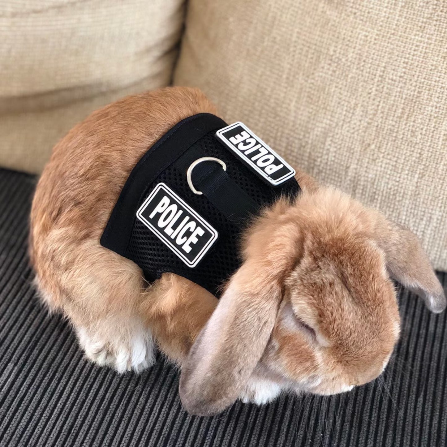 POLICE vest harness leash for bunny