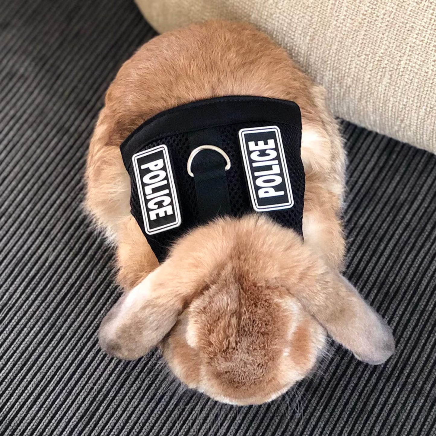 POLICE vest harness leash for bunny