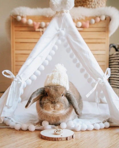 Cute Bunny House Teepee