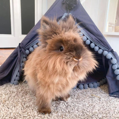 Cute Bunny House Teepee