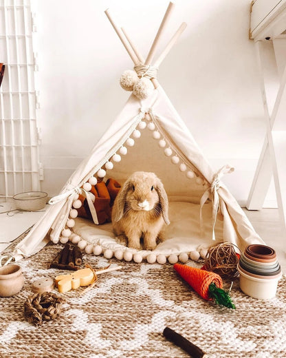 Cute Bunny House Teepee