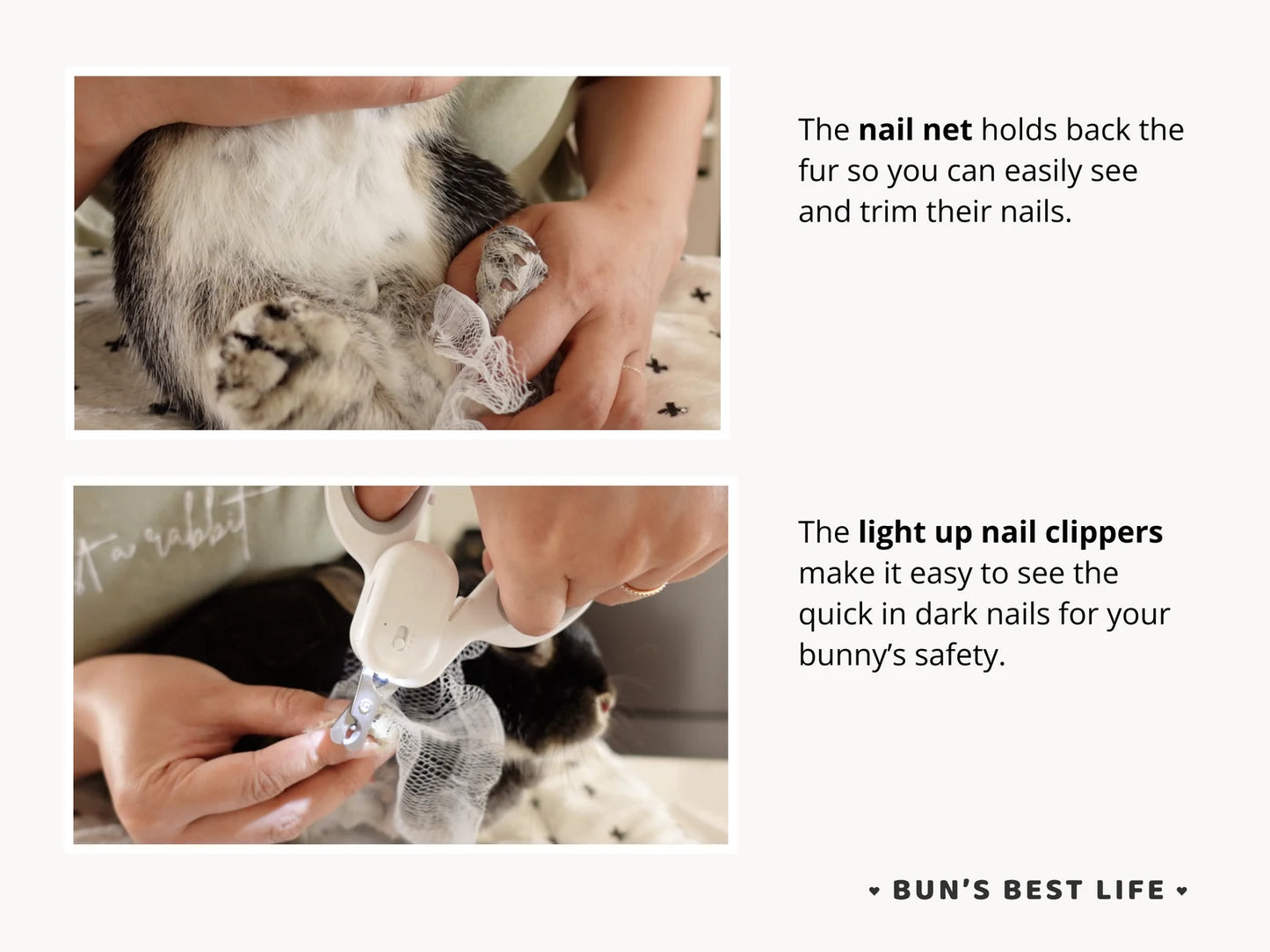 Bunny Grooming Kit