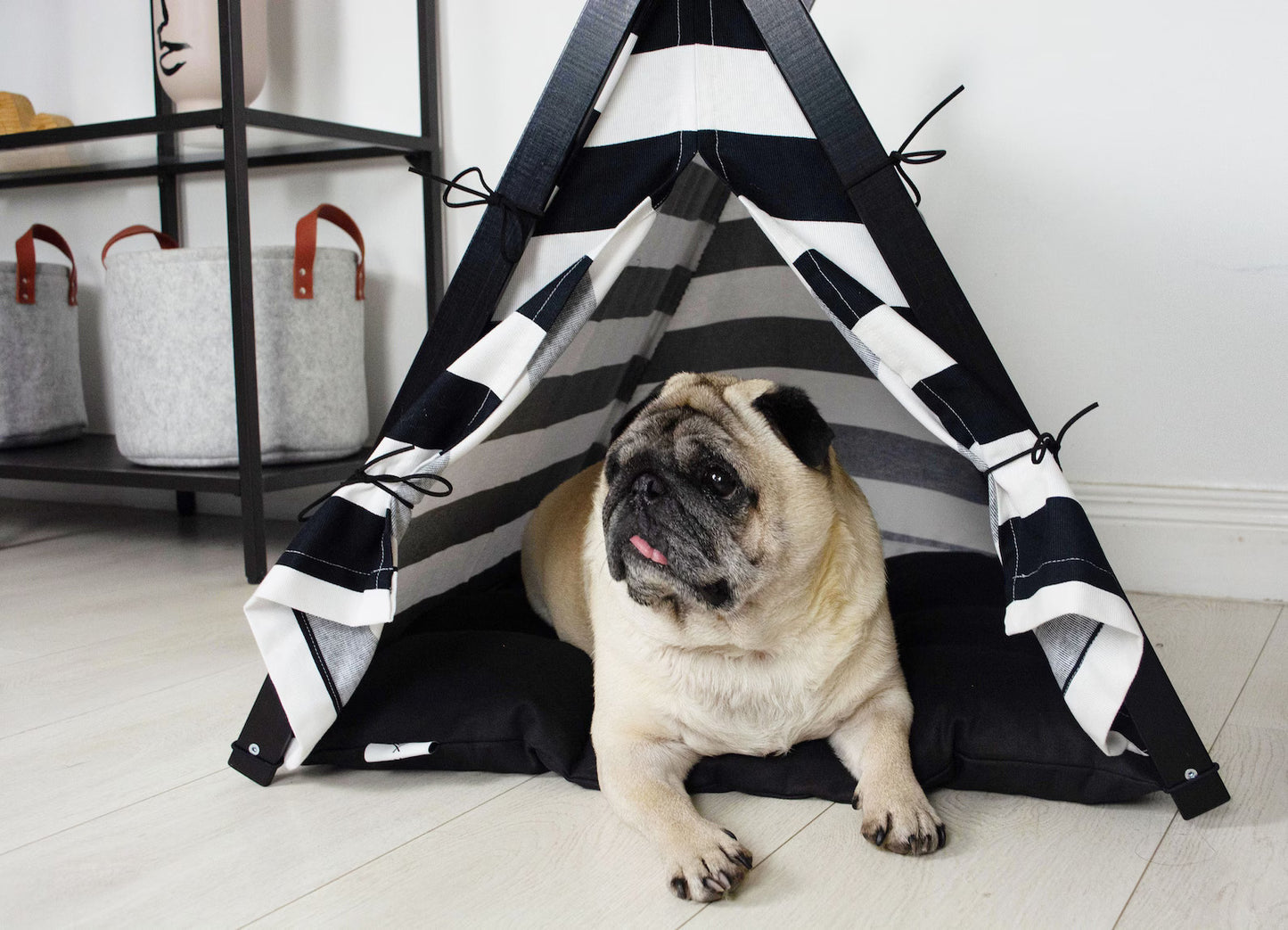 Gingham Pug teepee tent