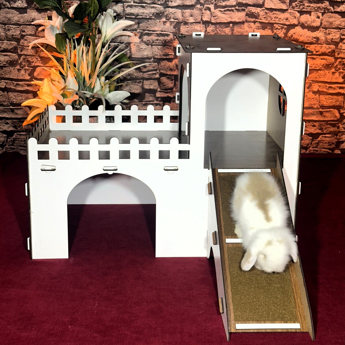 White Walnut Rabbit Palace/House