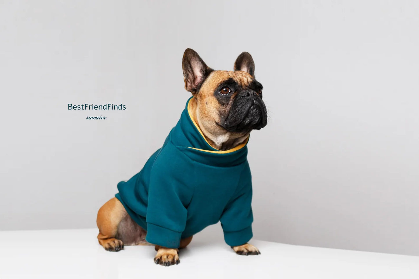 Pug/dog hoodie Sweater