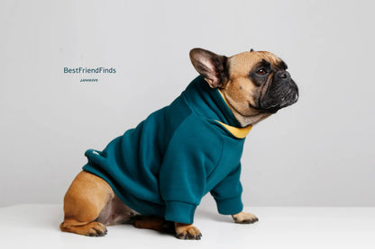 Pug/dog hoodie Sweater